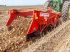 Kartoffelvollernter typu Grimme WH 200 trailed two-row windrower, 75 cm row spacing, 58 cm intake width, 4 spring-loaded disc coulters, Gebrauchtmaschine w Csengele (Zdjęcie 1)