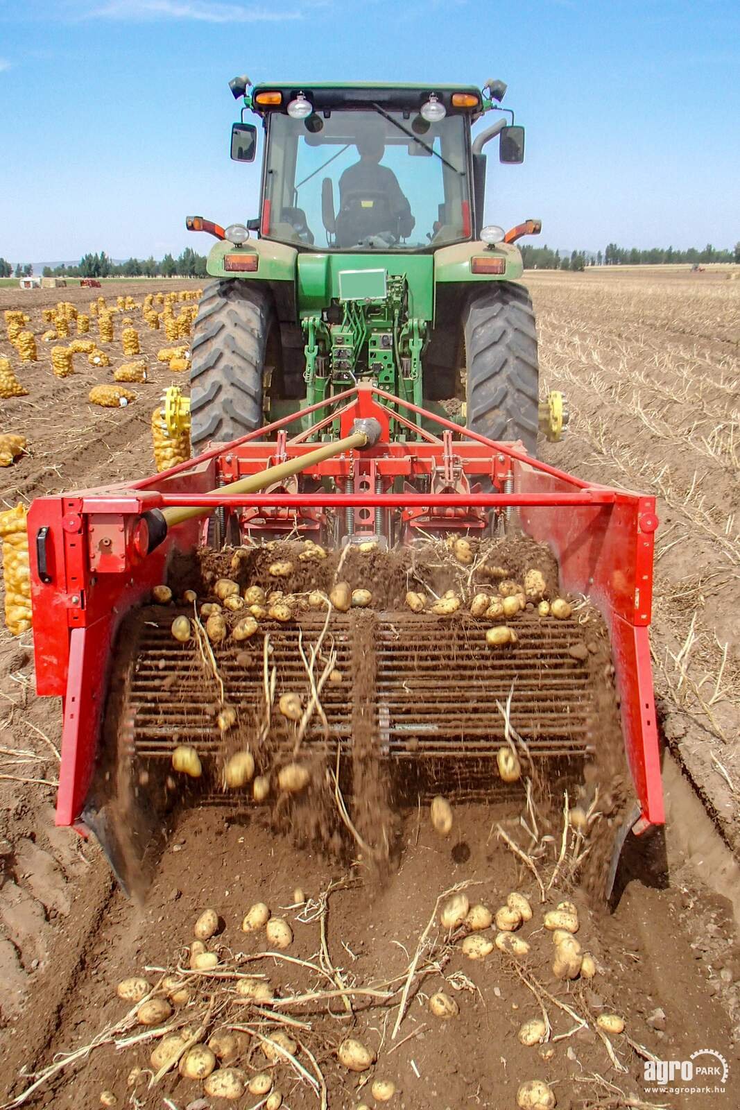 Kartoffelvollernter typu Grimme WH 200 trailed two-row windrower, 75 cm row spacing, 58 cm intake width, 4 spring-loaded disc coulters, Gebrauchtmaschine w Csengele (Zdjęcie 2)