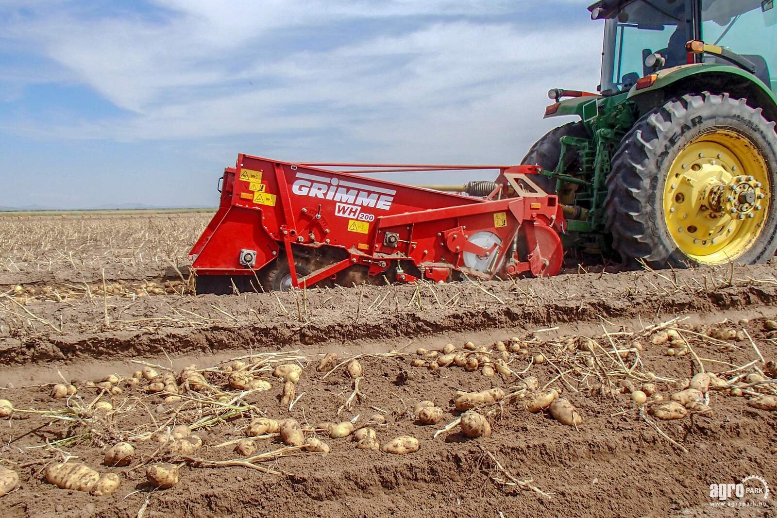 Kartoffelvollernter typu Grimme WH 200 trailed two-row windrower, 75 cm row spacing, 58 cm intake width, 4 spring-loaded disc coulters, Gebrauchtmaschine w Csengele (Zdjęcie 3)