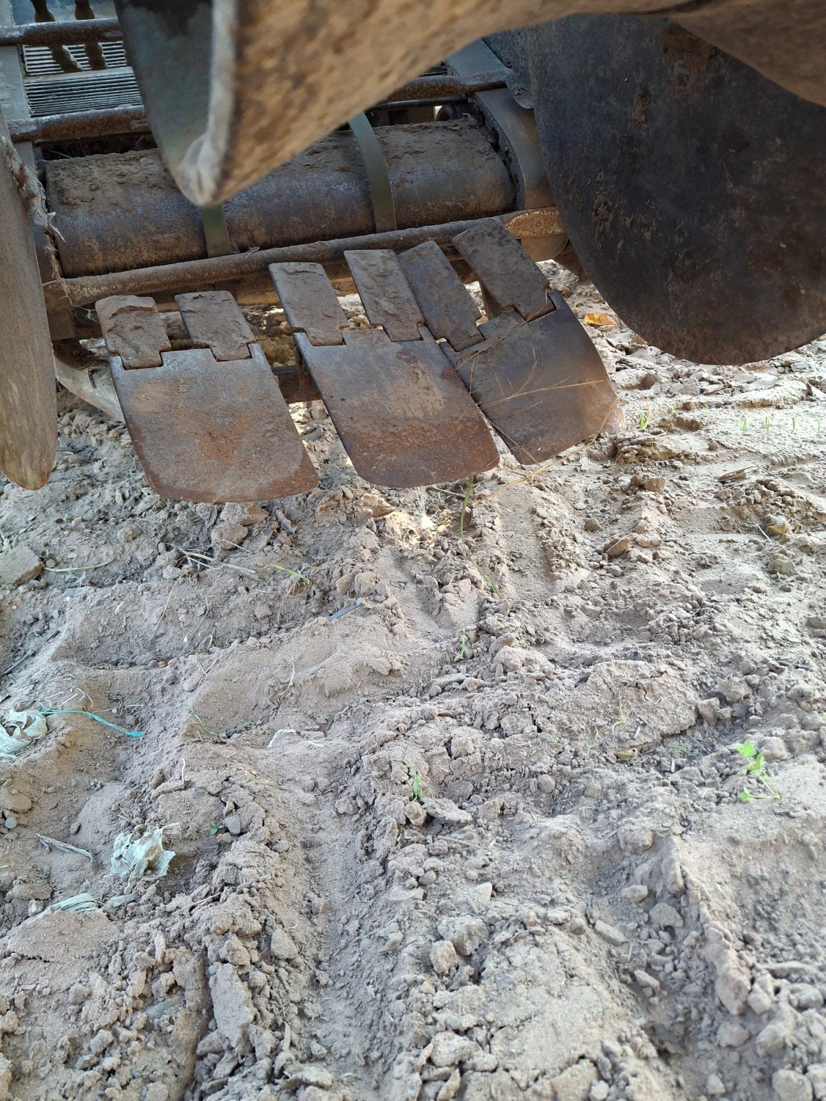 Kartoffelvollernter del tipo Hagedorn Wisent, Gebrauchtmaschine en Völklingen (Imagen 14)