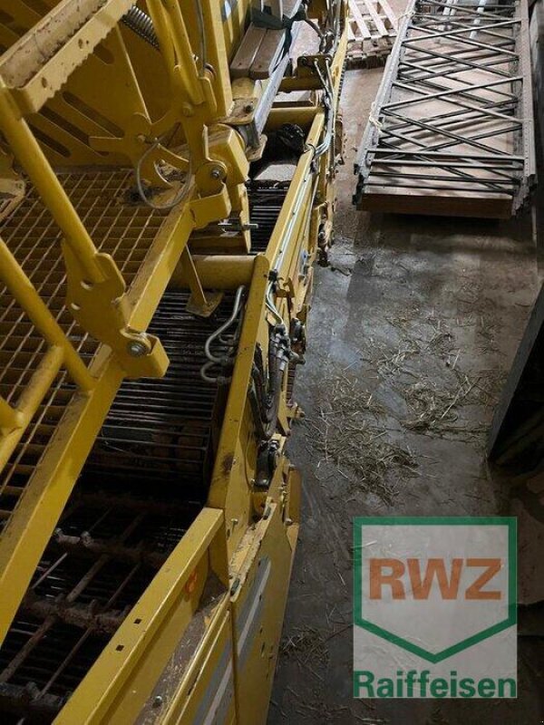 Kartoffelvollernter des Typs ROPA Keiler 1, Gebrauchtmaschine in Herxheim (Bild 8)