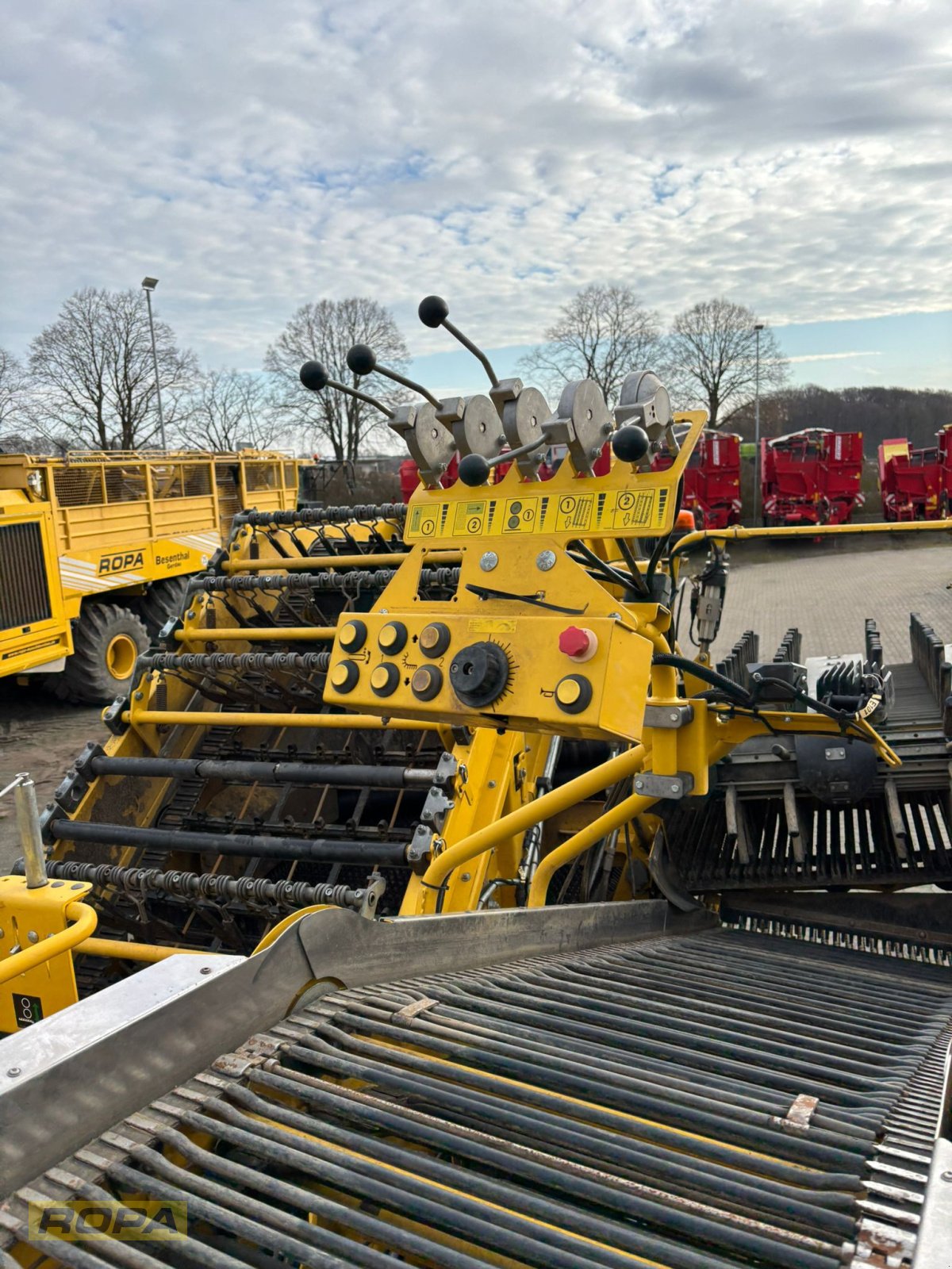Kartoffelvollernter des Typs ROPA Keiler I, Gebrauchtmaschine in Uelzen (Bild 23)