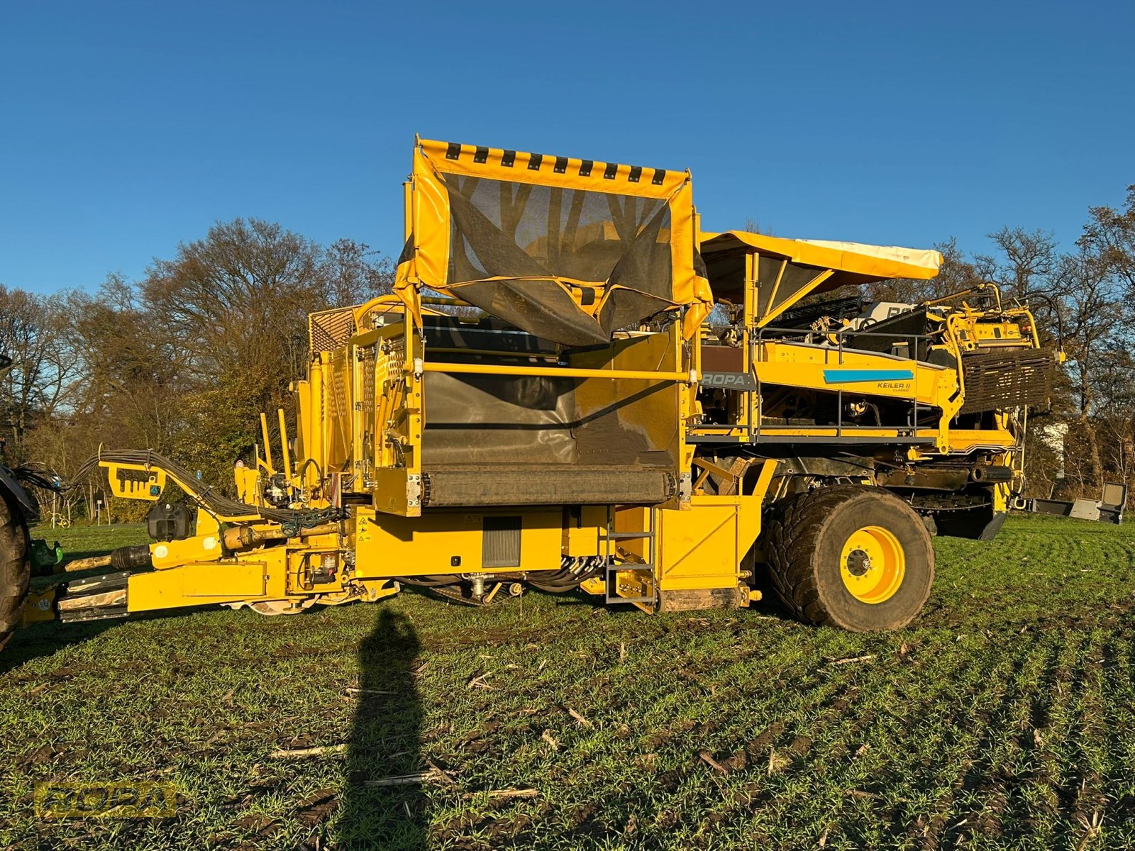 Kartoffelvollernter del tipo ROPA Keiler II Classic, Gebrauchtmaschine In Viersen (Immagine 3)