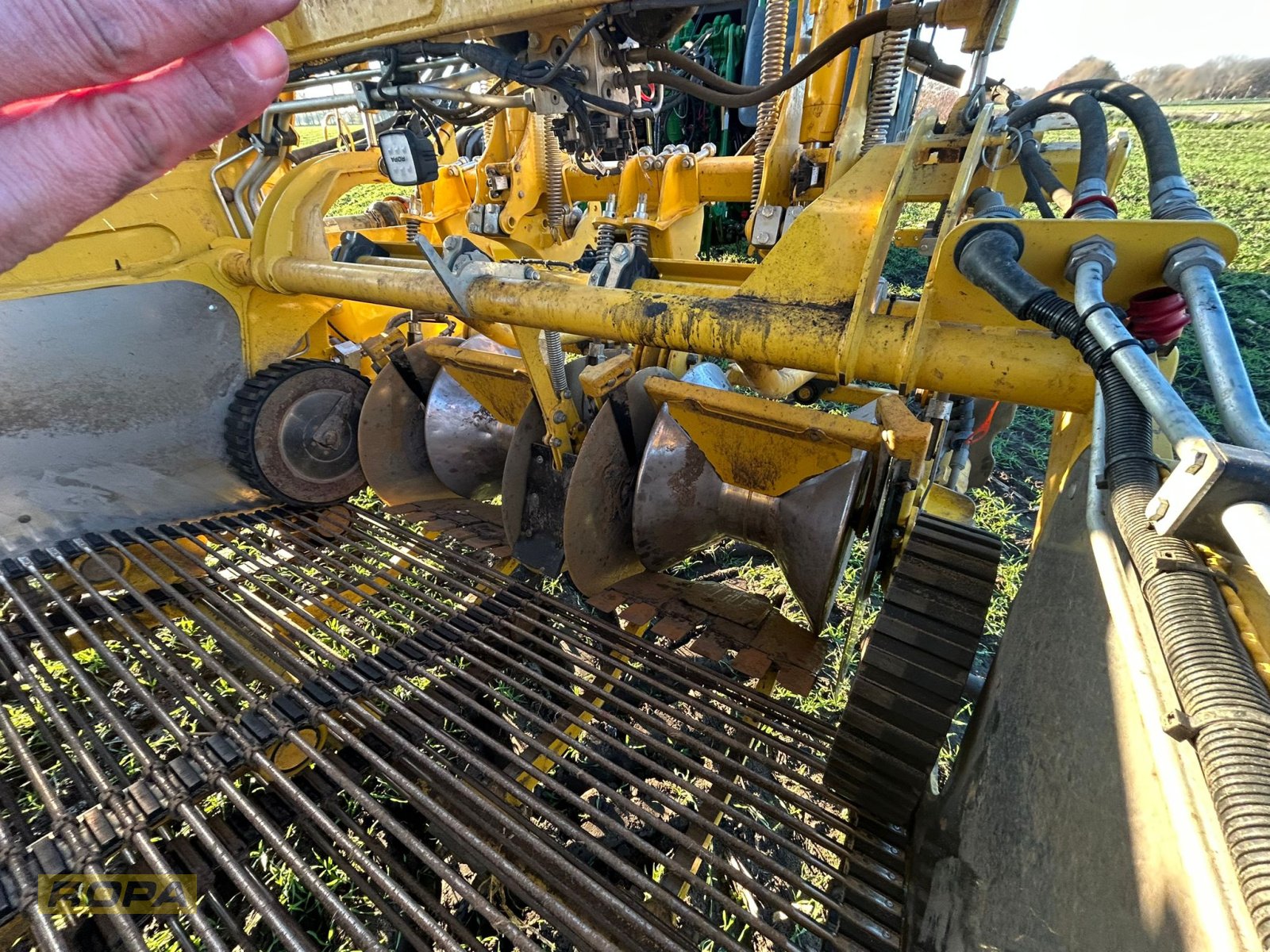 Kartoffelvollernter del tipo ROPA Keiler II Classic, Gebrauchtmaschine In Viersen (Immagine 8)