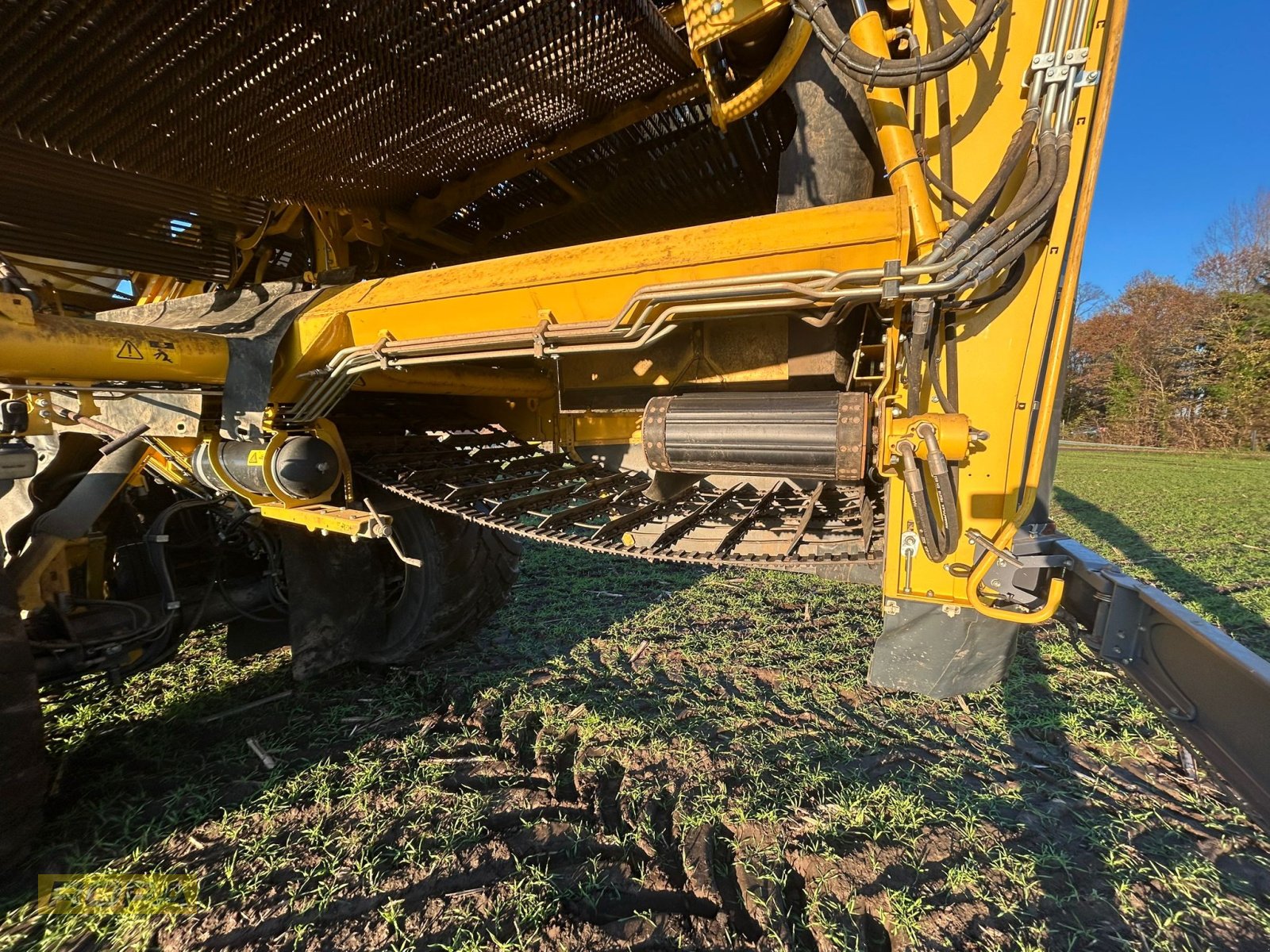 Kartoffelvollernter del tipo ROPA Keiler II Classic, Gebrauchtmaschine In Viersen (Immagine 12)