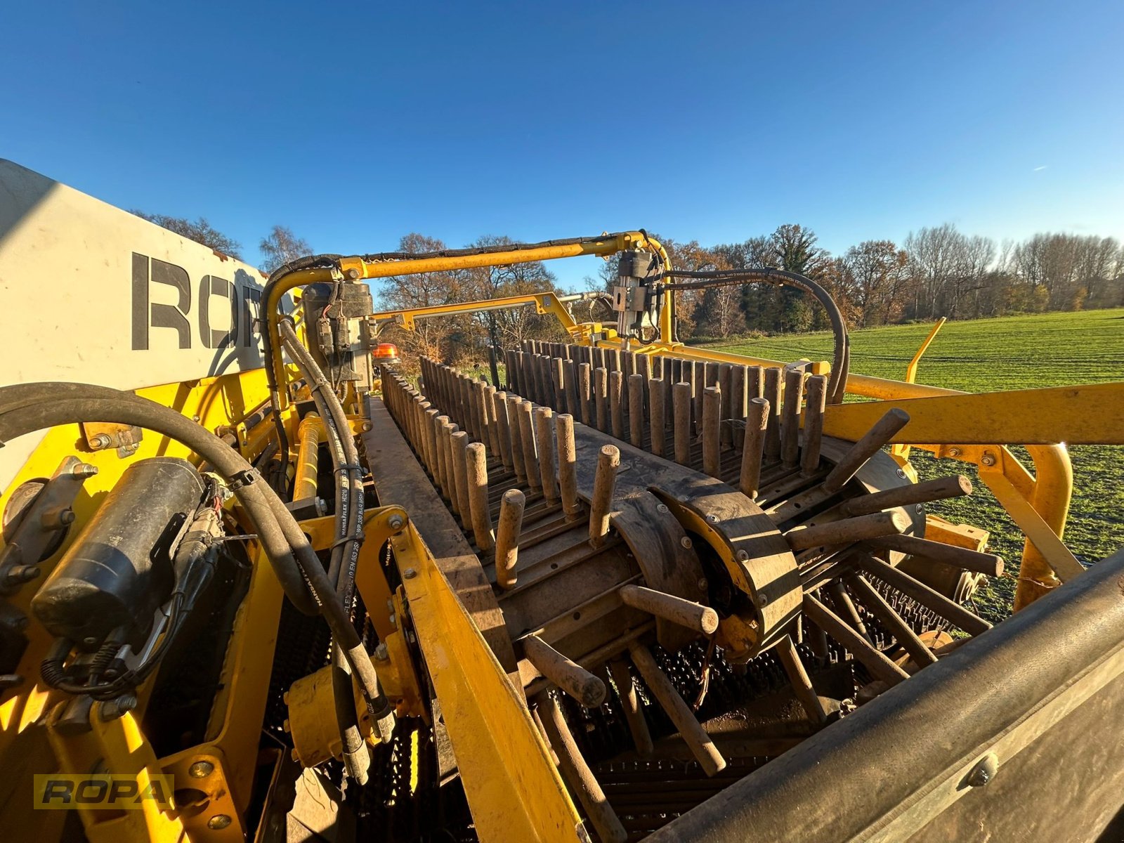 Kartoffelvollernter del tipo ROPA Keiler II Classic, Gebrauchtmaschine In Viersen (Immagine 13)