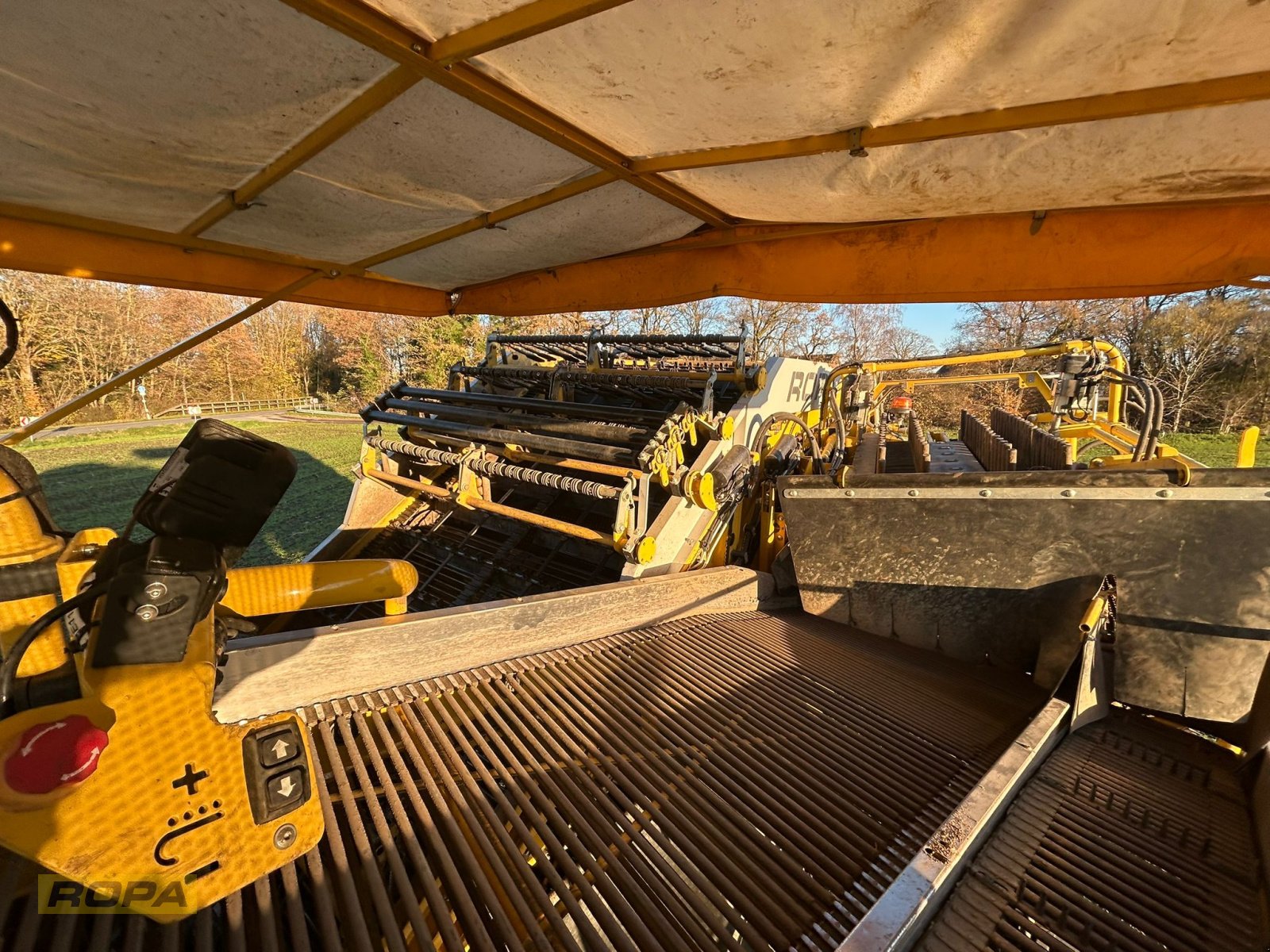 Kartoffelvollernter del tipo ROPA Keiler II Classic, Gebrauchtmaschine In Viersen (Immagine 16)