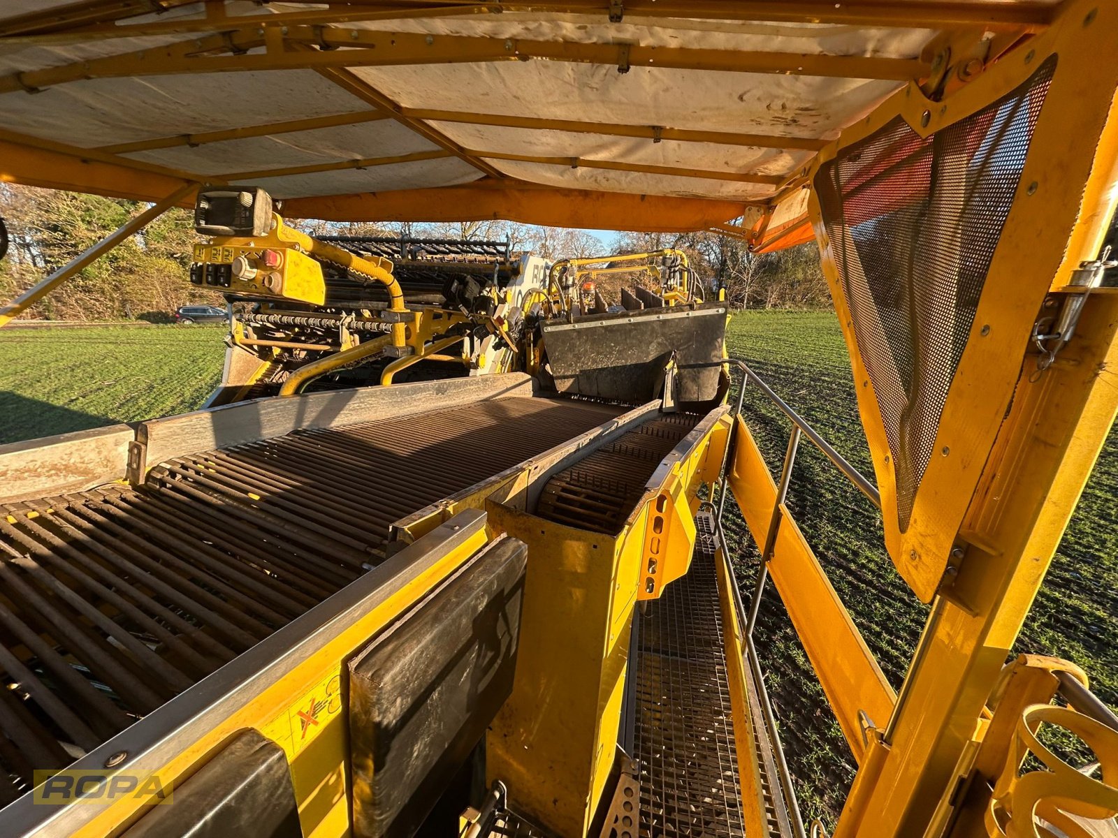 Kartoffelvollernter del tipo ROPA Keiler II Classic, Gebrauchtmaschine In Viersen (Immagine 17)
