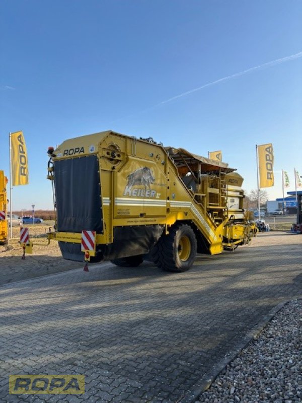 Kartoffelvollernter типа ROPA Keiler II Classic, Gebrauchtmaschine в Uelzen (Фотография 2)