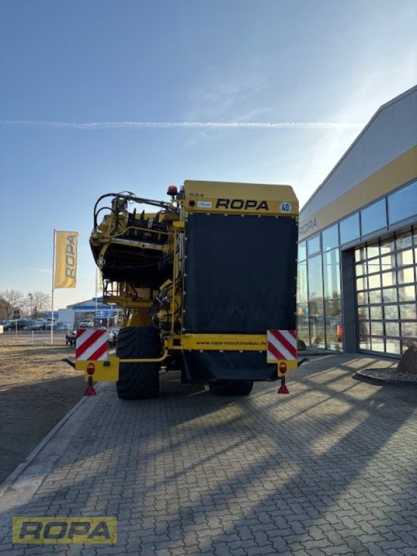 Kartoffelvollernter типа ROPA Keiler II Classic, Gebrauchtmaschine в Uelzen (Фотография 3)