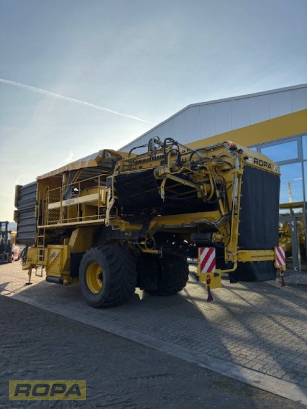 Kartoffelvollernter типа ROPA Keiler II Classic, Gebrauchtmaschine в Uelzen (Фотография 4)