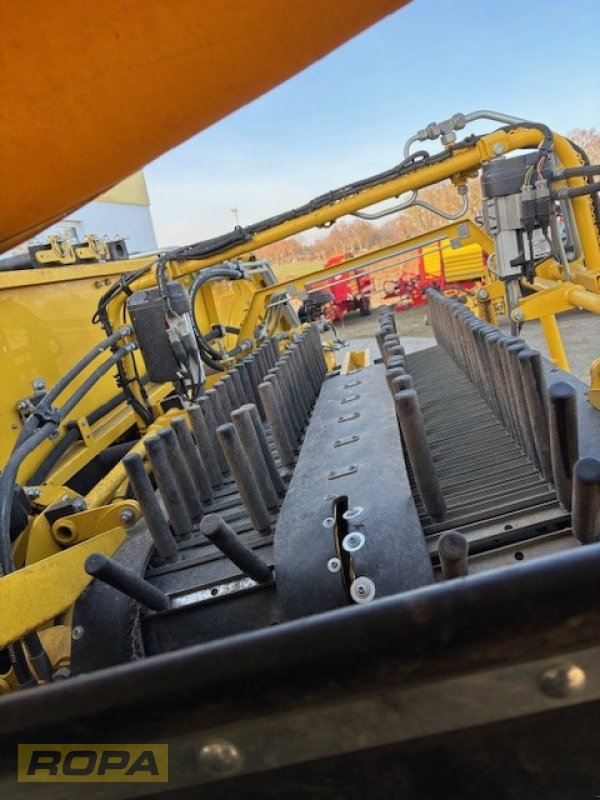 Kartoffelvollernter типа ROPA Keiler II Classic, Gebrauchtmaschine в Uelzen (Фотография 16)