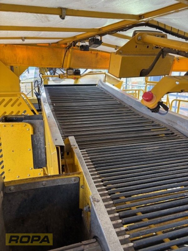 Kartoffelvollernter типа ROPA Keiler II Classic, Gebrauchtmaschine в Uelzen (Фотография 18)