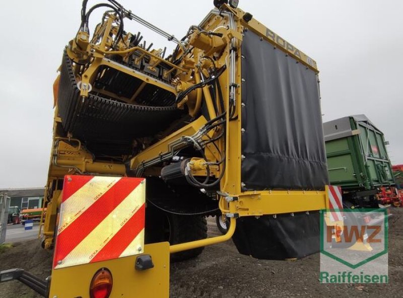 Kartoffelvollernter Türe ait ROPA Keiler II Classic, Vorführmaschine içinde Mutterstadt (resim 6)