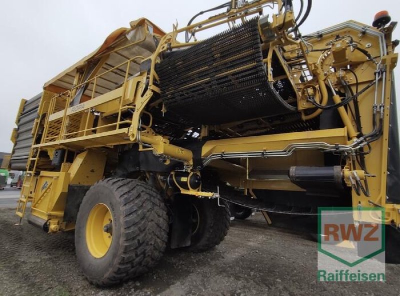 Kartoffelvollernter Türe ait ROPA Keiler II Classic, Vorführmaschine içinde Mutterstadt (resim 5)