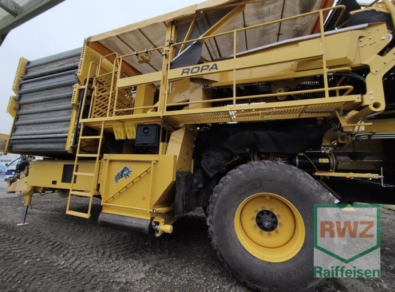 Kartoffelvollernter Türe ait ROPA Keiler II Classic, Vorführmaschine içinde Mutterstadt (resim 4)