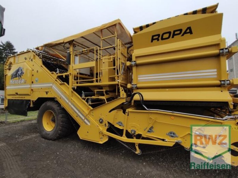 Kartoffelvollernter des Typs ROPA Keiler II Classic, Vorführmaschine in Mutterstadt (Bild 1)