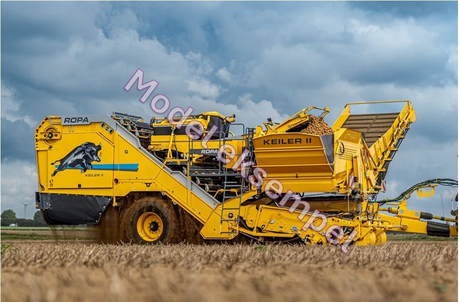 Kartoffelvollernter des Typs ROPA KEILER II L WD RK22, Gebrauchtmaschine in Thisted (Bild 1)