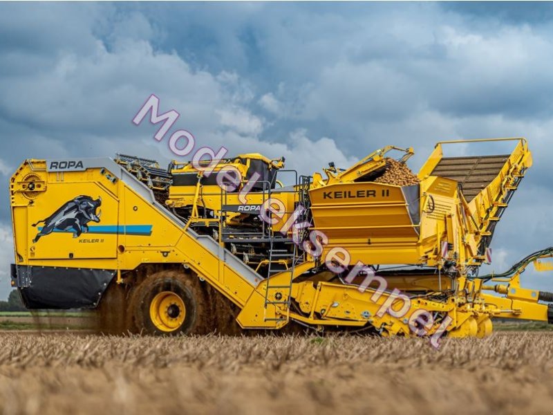 Kartoffelvollernter del tipo ROPA KEILER II L WD RK22, Gebrauchtmaschine In Thisted (Immagine 1)