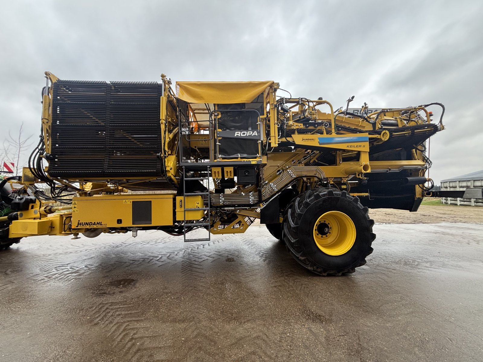 Kartoffelvollernter tipa ROPA KEILER II L WD RK22, Gebrauchtmaschine u Thisted (Slika 5)