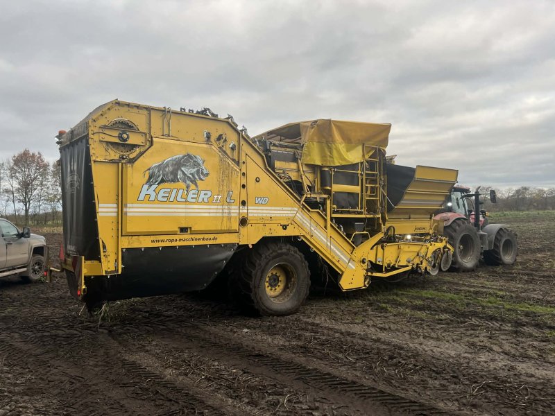 Kartoffelvollernter tip ROPA KEILER II L WD, Gebrauchtmaschine in Thisted (Poză 1)