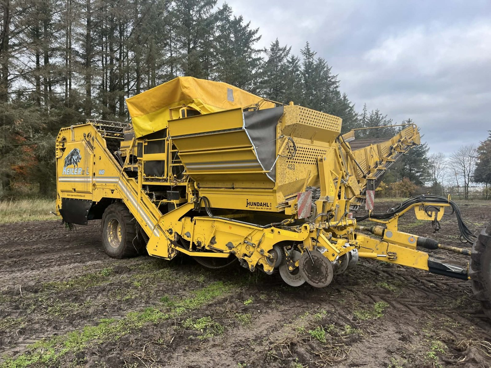 Kartoffelvollernter du type ROPA KEILER II L WD, Gebrauchtmaschine en Thisted (Photo 2)