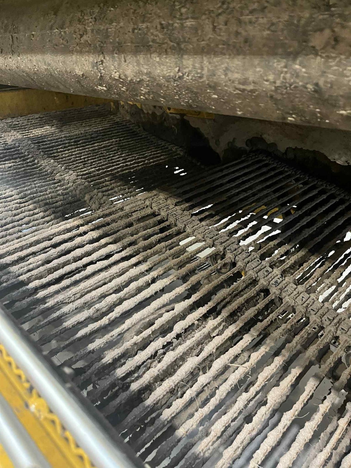 Kartoffelvollernter of the type ROPA KEILER II WD CLASSIC, Gebrauchtmaschine in Thisted (Picture 6)