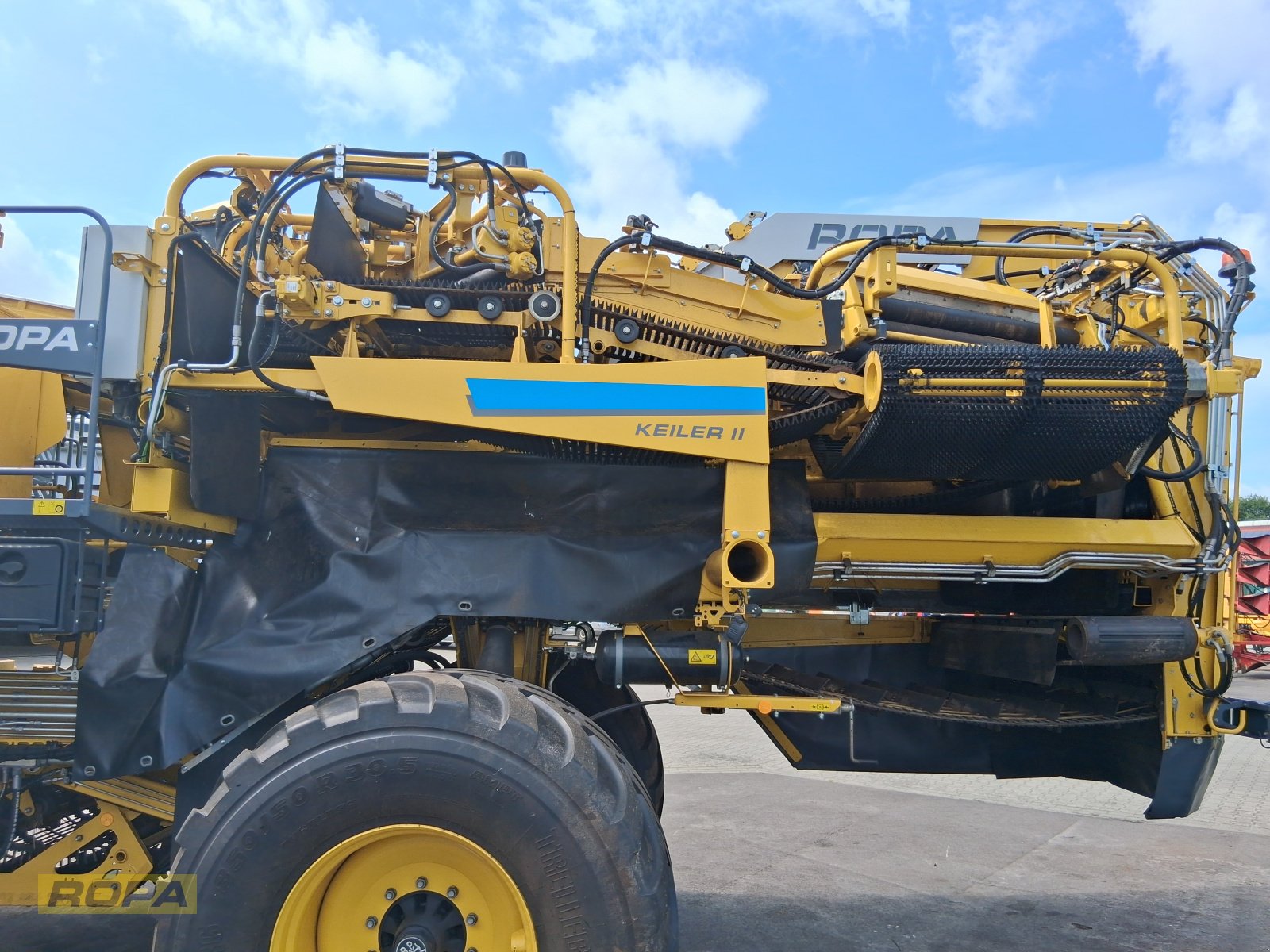 Kartoffelvollernter del tipo ROPA Keiler II, Gebrauchtmaschine In Herrngiersdorf (Immagine 5)