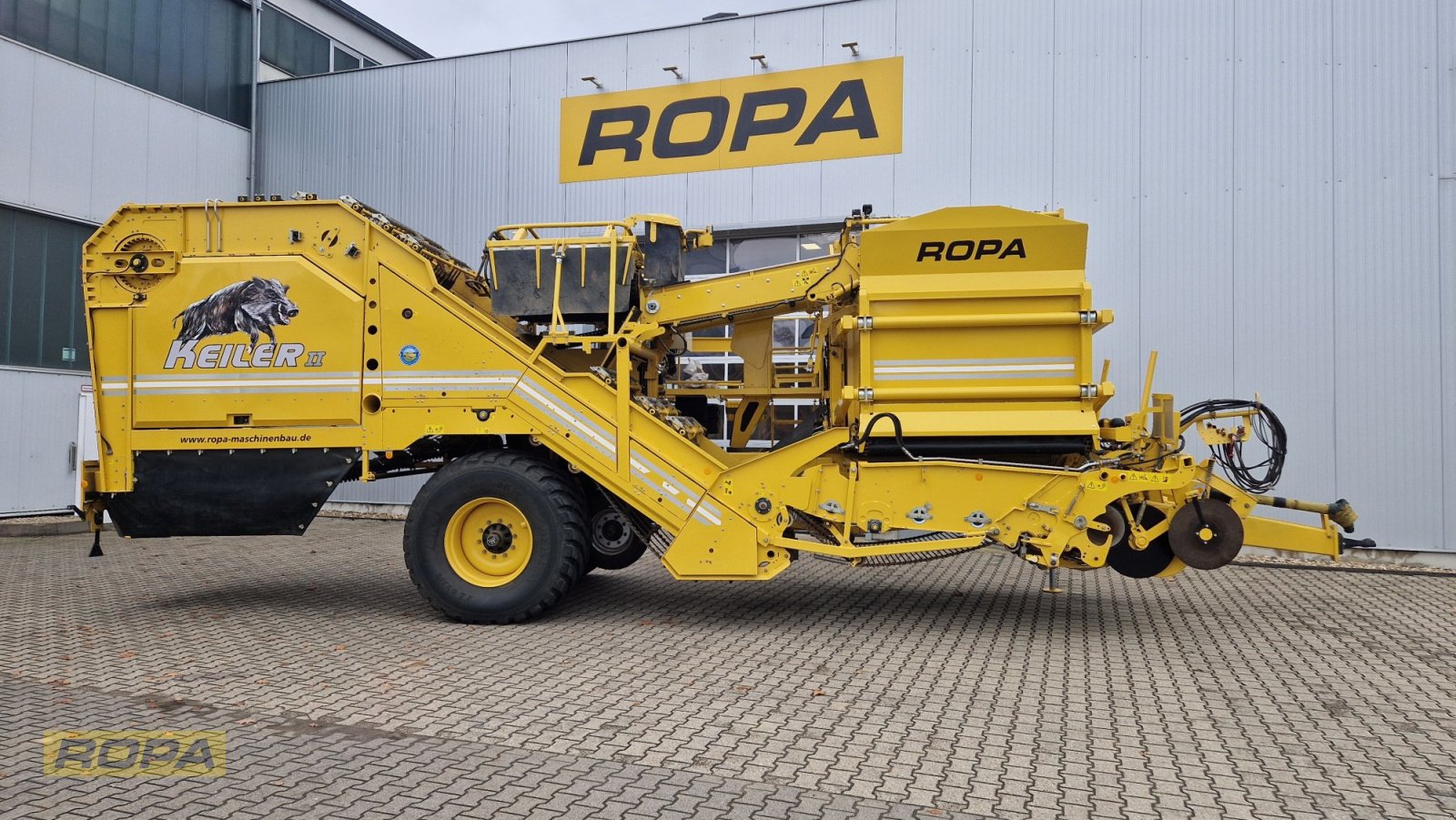 Kartoffelvollernter del tipo ROPA Keiler II, Gebrauchtmaschine In Viersen (Immagine 1)