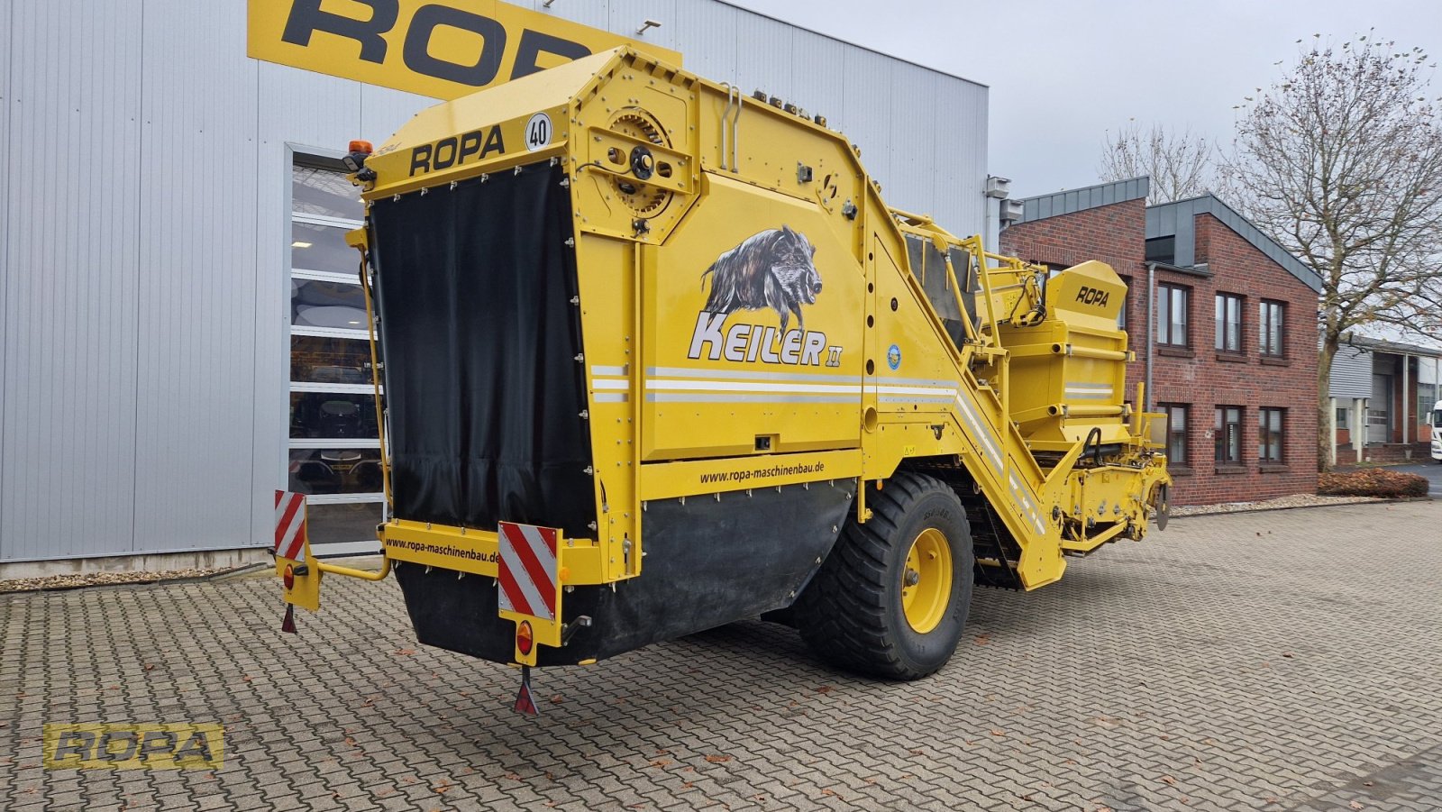 Kartoffelvollernter del tipo ROPA Keiler II, Gebrauchtmaschine In Viersen (Immagine 4)