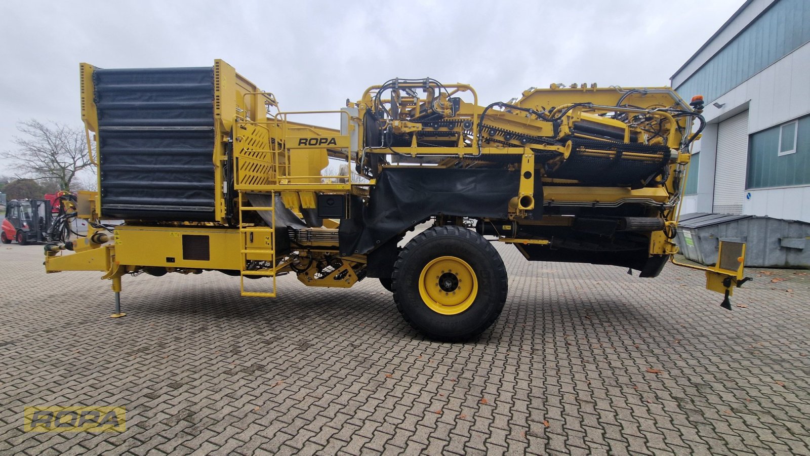 Kartoffelvollernter del tipo ROPA Keiler II, Gebrauchtmaschine In Viersen (Immagine 8)