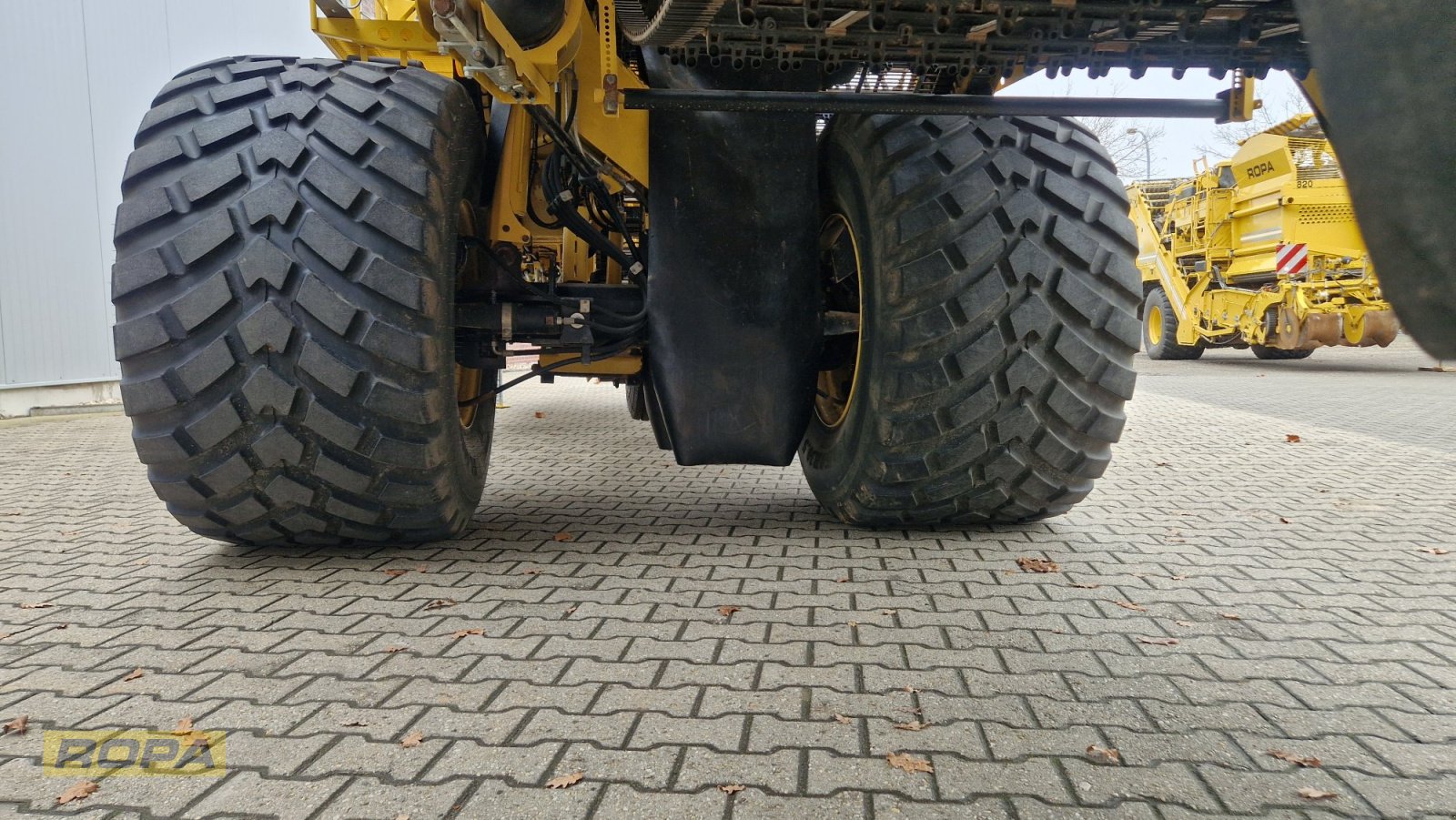 Kartoffelvollernter del tipo ROPA Keiler II, Gebrauchtmaschine In Viersen (Immagine 13)