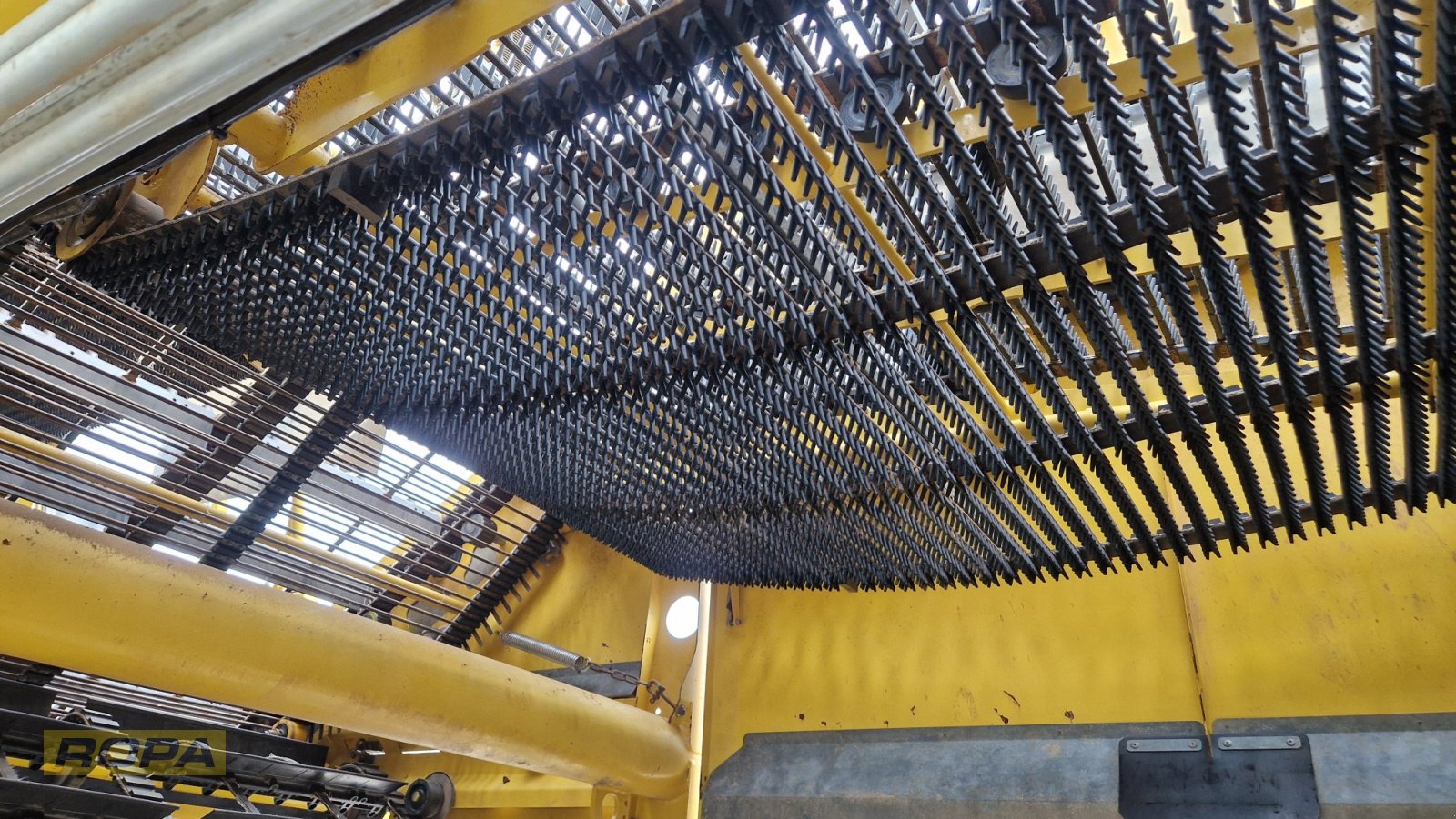 Kartoffelvollernter del tipo ROPA Keiler II, Gebrauchtmaschine In Viersen (Immagine 14)