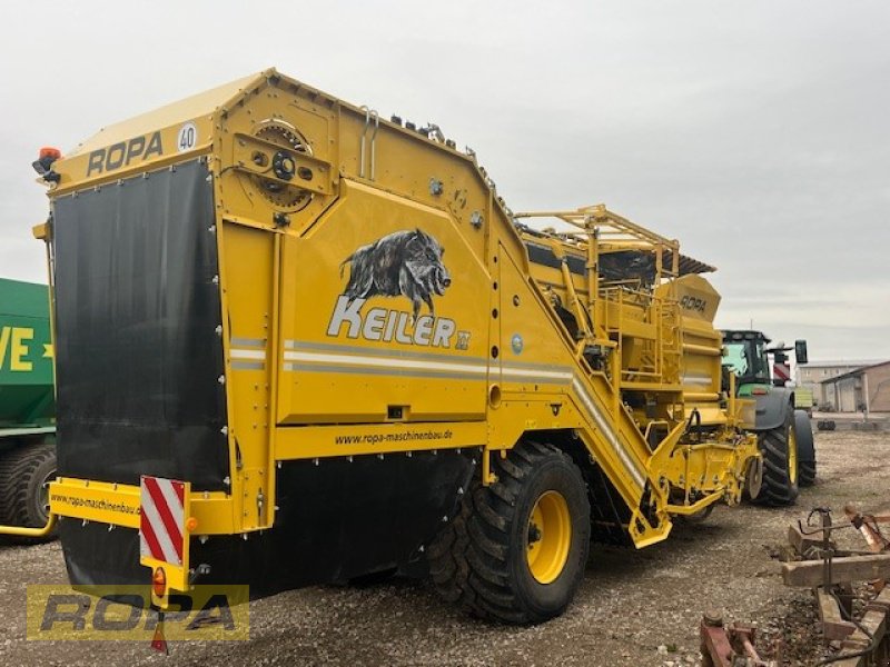 Kartoffelvollernter typu ROPA Keiler II, Gebrauchtmaschine v Uelzen (Obrázek 4)