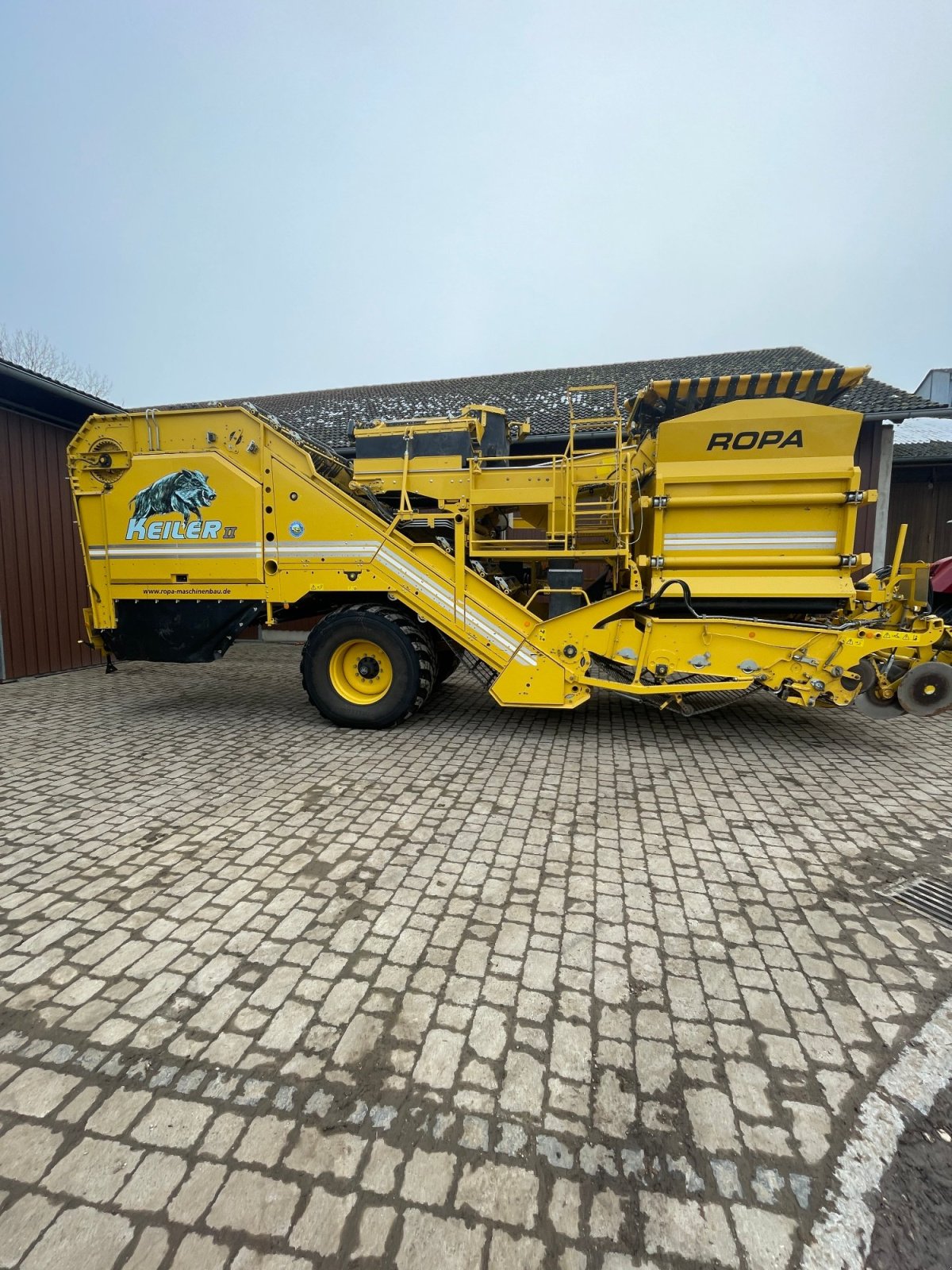 Kartoffelvollernter del tipo ROPA Keiler II, Gebrauchtmaschine In Barbing (Immagine 3)