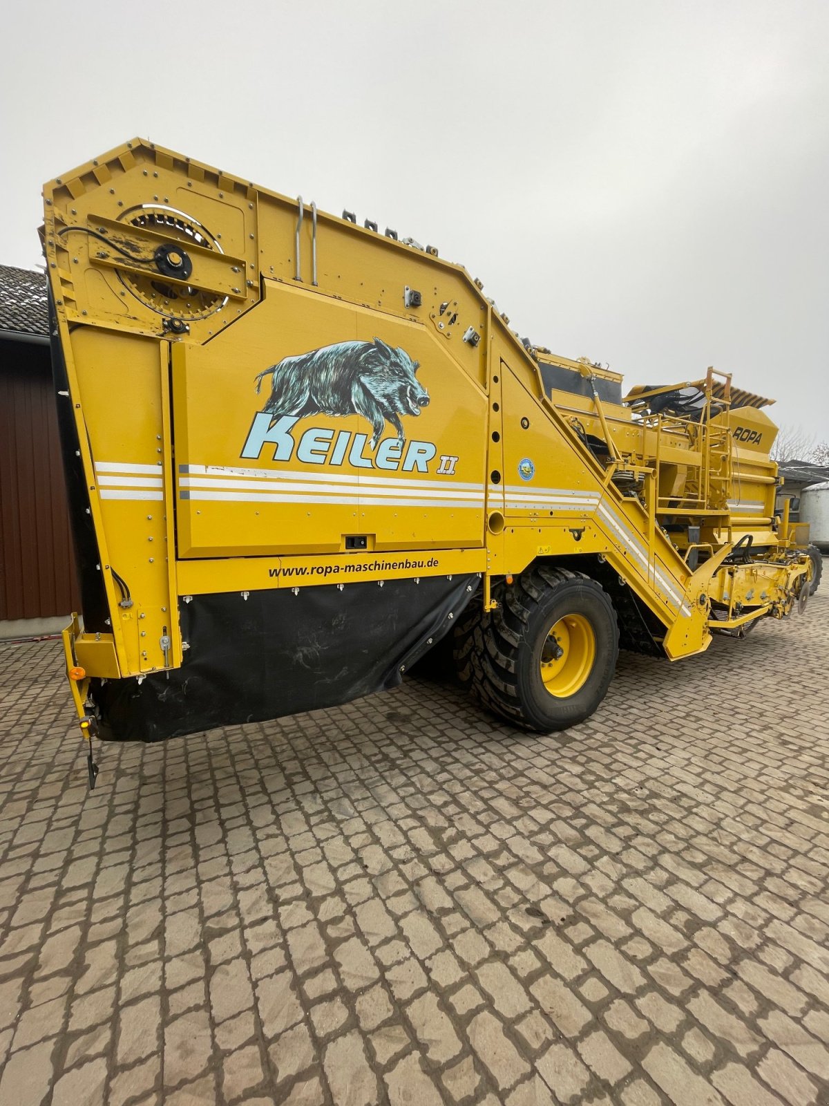 Kartoffelvollernter del tipo ROPA Keiler II, Gebrauchtmaschine In Barbing (Immagine 4)