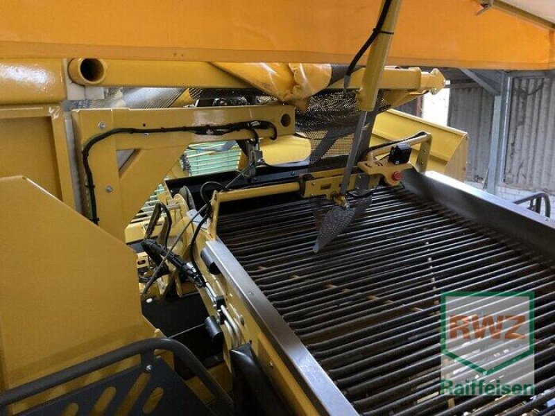 Kartoffelvollernter tipa ROPA RK 22 Classic, Gebrauchtmaschine u Mutterstadt (Slika 7)