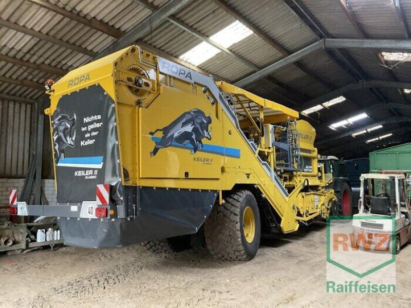 Kartoffelvollernter tipa ROPA RK 22 Classic, Gebrauchtmaschine u Mutterstadt (Slika 13)