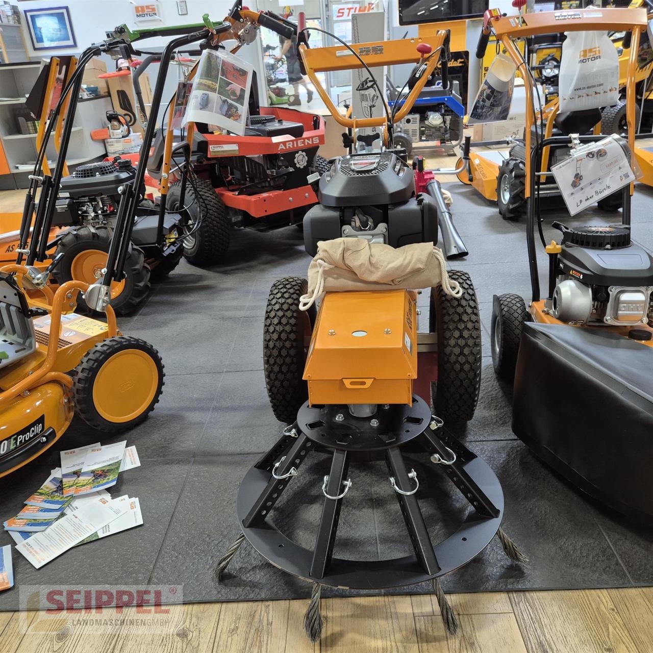 Kehrmaschine typu AS-Motor AS 60 WEEDHEX WILDKRAUTBÜRSTE, Neumaschine v Groß-Umstadt (Obrázek 1)