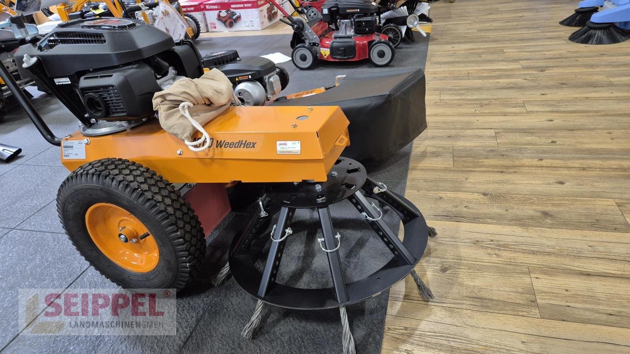 Kehrmaschine typu AS-Motor AS 60 WEEDHEX WILDKRAUTBÜRSTE, Neumaschine v Groß-Umstadt (Obrázek 2)