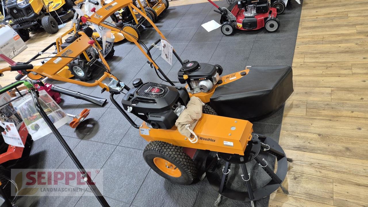 Kehrmaschine typu AS-Motor AS 60 WEEDHEX WILDKRAUTBÜRSTE, Neumaschine v Groß-Umstadt (Obrázek 3)