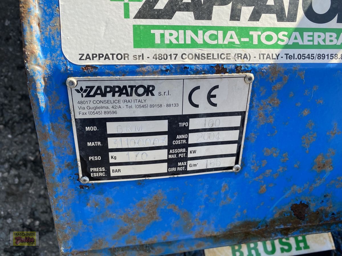 Kehrmaschine Türe ait Sonstige BCS, Reform 150 cm, Gebrauchtmaschine içinde Kötschach (resim 9)