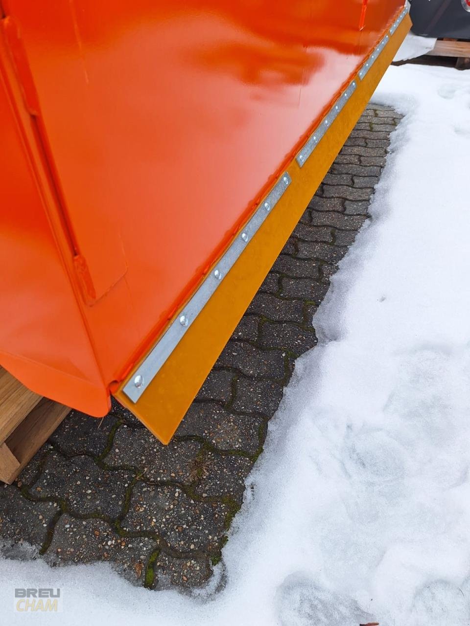 Kehrmaschine типа Tuchel Profi-Champ, Neumaschine в Cham (Фотография 11)