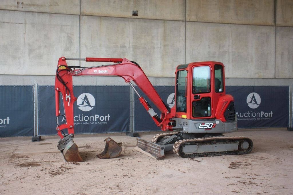Kettenbagger Türe ait Bobcat E50Z, Gebrauchtmaschine içinde Antwerpen (resim 1)