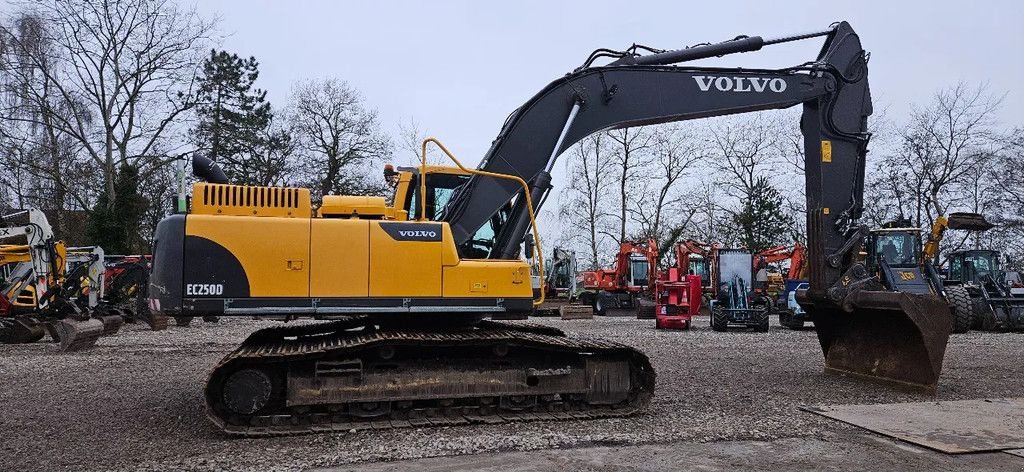 Kettenbagger des Typs Volvo EC250 DL, Gebrauchtmaschine in Scharsterbrug (Bild 2)