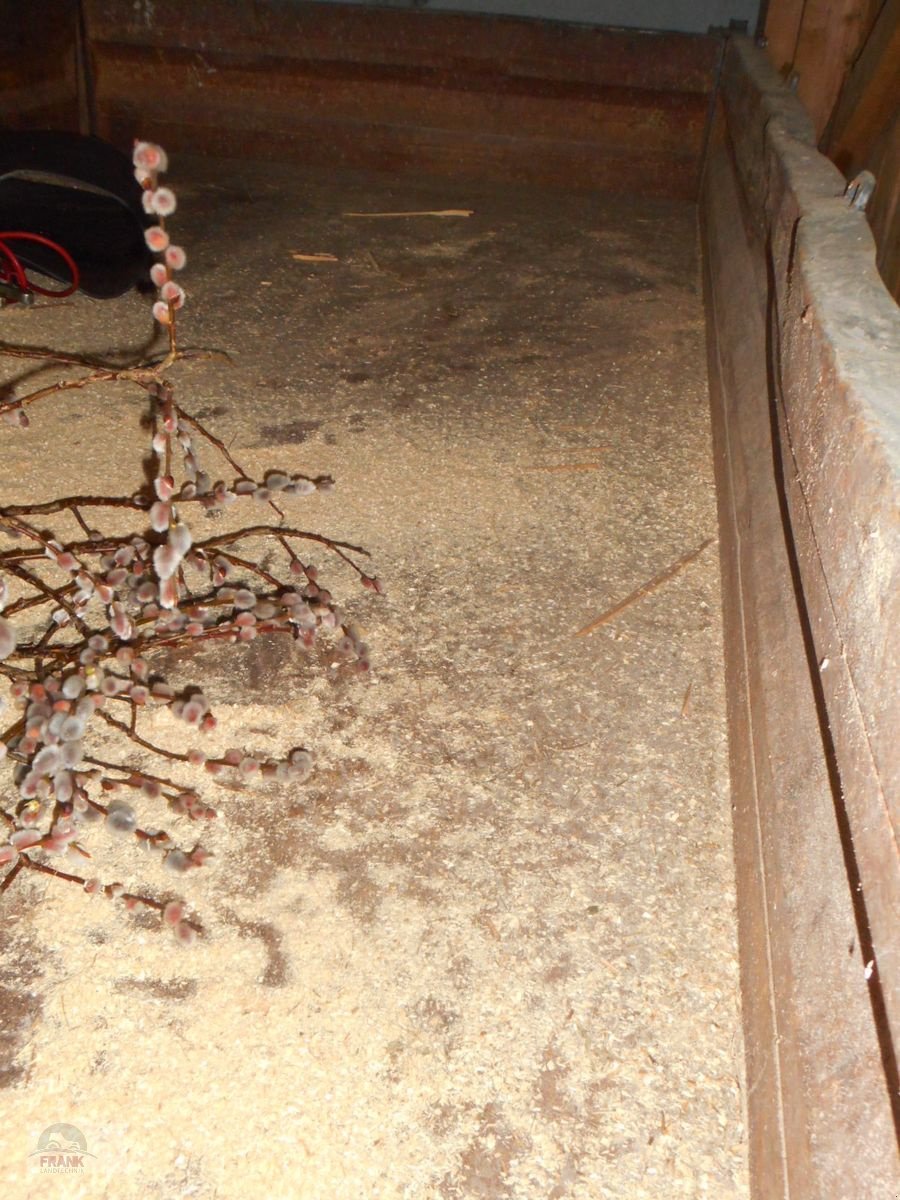 Kipper типа Brantner 6t Kipper, Gebrauchtmaschine в Bad Vigaun (Фотография 6)