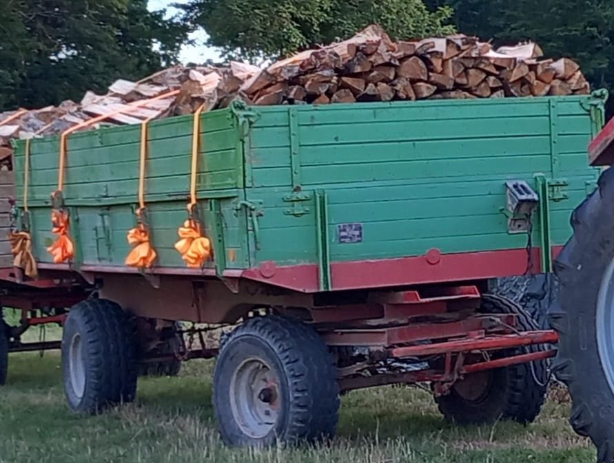 Kipper Türe ait Fristein DK 45, Gebrauchtmaschine içinde Lauda Königshofen (resim 1)