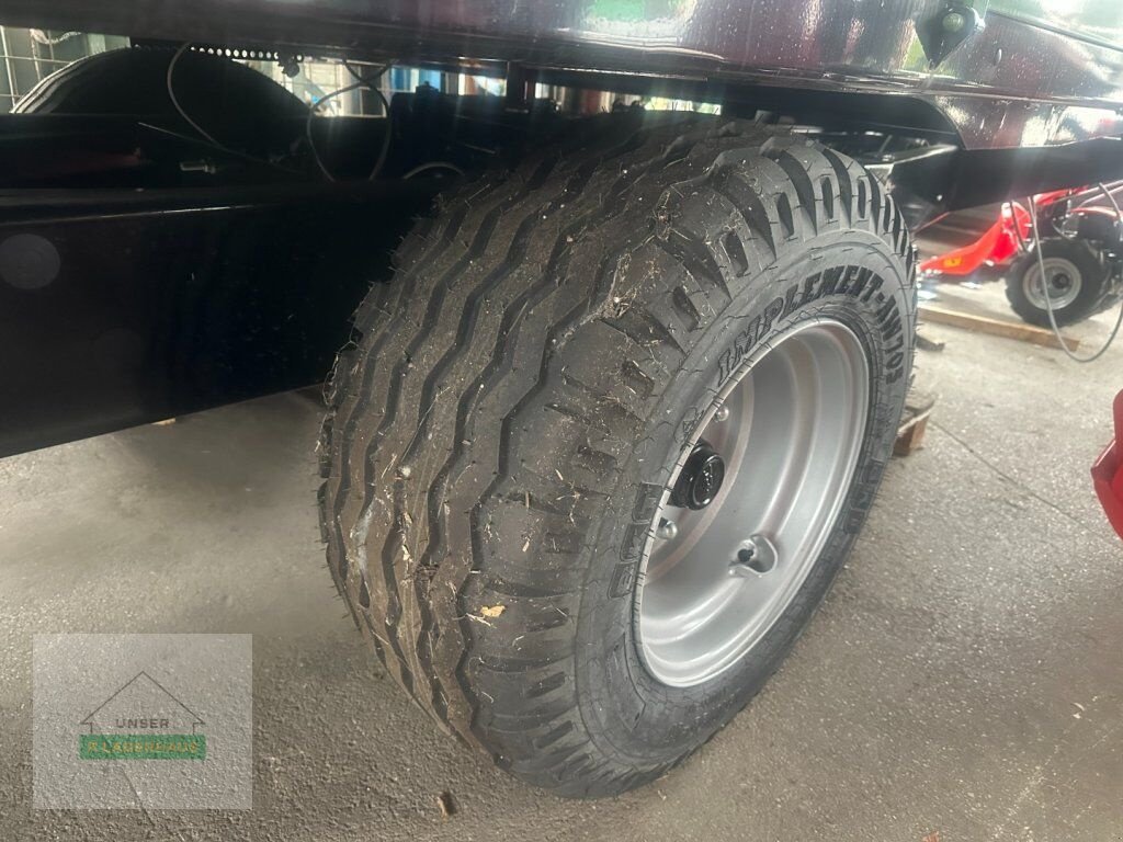 Kipper του τύπου Sonstige E 6535 EURO-LINE 25 LM/H, Neumaschine σε Waidhofen a. d. Ybbs (Φωτογραφία 11)