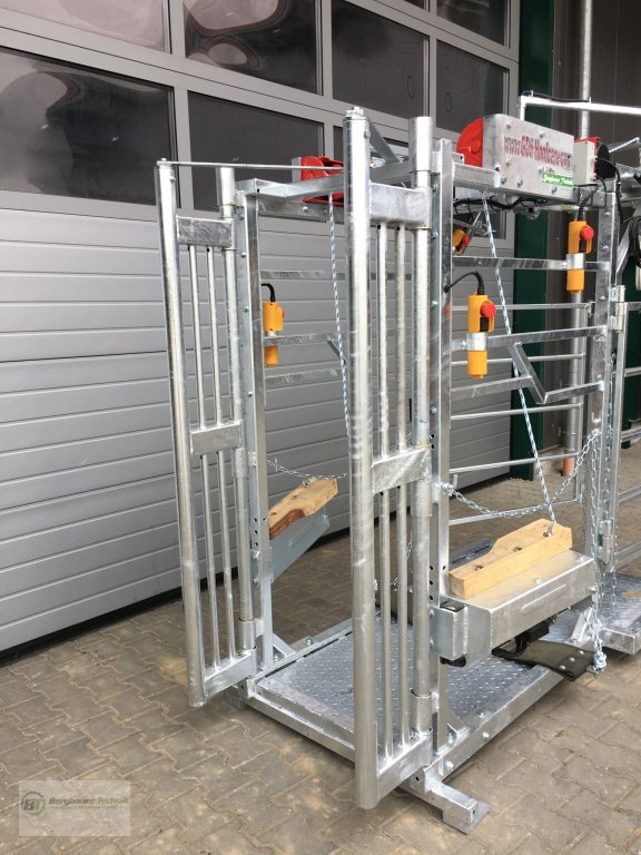 Klauenpflegestand des Typs GDS Hoofcare GDS-E Box Lift Klauenstand Klauenpflegestand elektrisch hydraulisch Klauenbox Behandlungsstand Klauenpflege, Neumaschine in Kötzting (Bild 4)