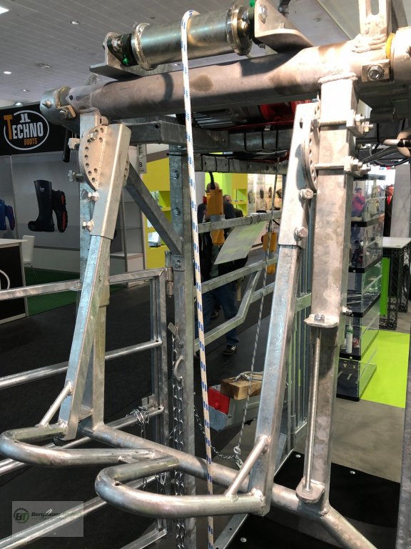 Klauenpflegestand des Typs GDS Hoofcare GDS-E Box Lift Klauenstand Klauenpflegestand elektrisch hydraulisch Klauenbox Behandlungsstand Klauenpflege, Neumaschine in Kötzting (Bild 14)